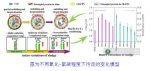 城鎮(zhèn)污水污泥處理研究取得新成果-廣東水展 watertech china (guangdong) - 2026年3月5-7日-環(huán)保水處理 | 膜與水處理 | 凈水設(shè)備及配件 城鎮(zhèn)污水污泥處理研究取得新成果-廣東水展 watertech china (guangdong) - 2026年3月5-7日-環(huán)保水處理 | 膜與水處理 | 凈水設(shè)備及配件