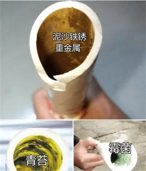 看完后再也不糾結(jié)凈水器到底值不值得買-廣東水展 watertech china (guangdong) - 2026年3月5-7日-環(huán)保水處理 | 膜與水處理 | 凈水設(shè)備及配件